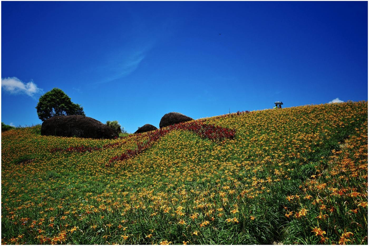 花蓮山巒風景