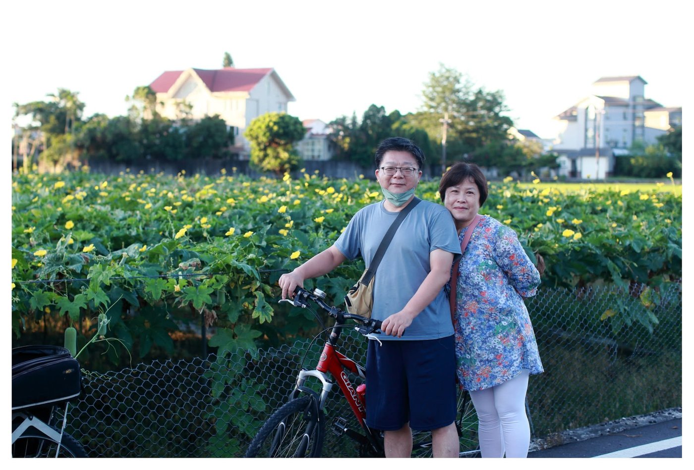 住客騎自行車出遊,稻田花海合影