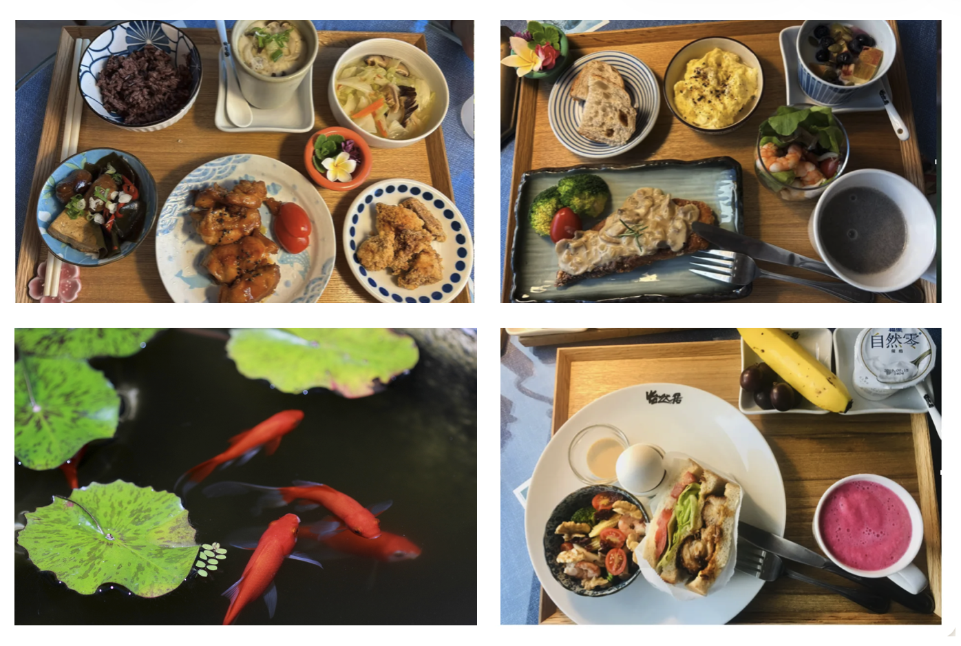 美鳳姐準備的早餐與怡然居庭院的養魚池